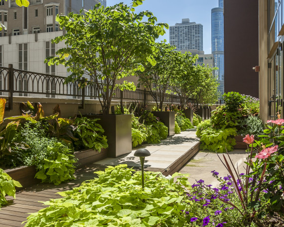 Dynamic Downtown Rooftop Resort